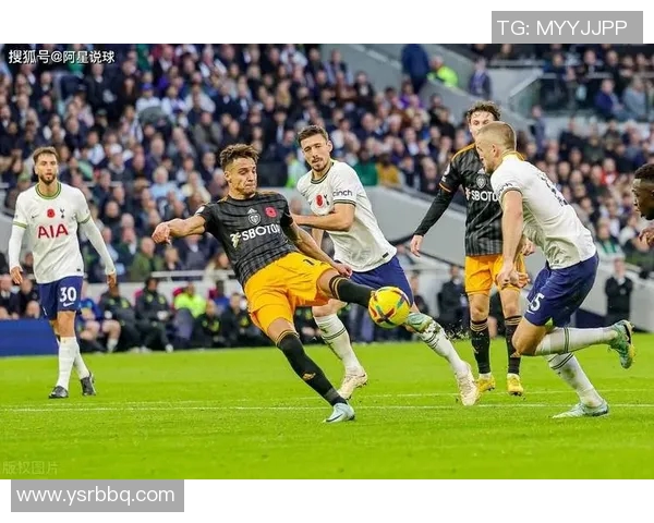 热刺与布赖顿比赛数据深度分析及战术对比探讨